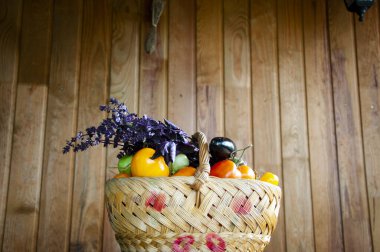 organik gıda. sebze hasadı. Çevre tarımı ve hasat. Yaz ya da sonbahar çiftliği mahsulü. sebze hasadı. taze ve organik sağlıklı sebzeler. Bahçıvanlık tarım. Hidrofonik.