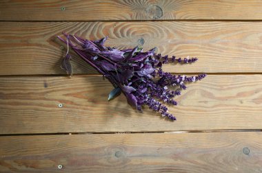 Fesleğen taze malzeme. Ahşap masa üzerinde yaprakları olan bir demet taze mor fesleğen. Lezzetli taze mor fesleğen sapları. aromatik bitkisel fesleğen. organik tarım. manav..