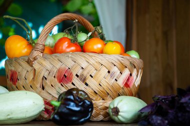 organik gıda. sebze hasadı. Çevre tarımı ve hasat. Yaz ya da sonbahar çiftliği mahsulü. sebze hasadı. taze ve organik sağlıklı sebzeler. Bahçıvanlık tarım. Bahçecilik.