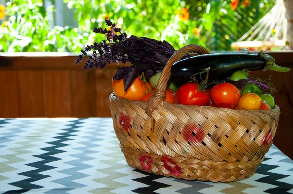 Nourriture Biologique Récolte Légumes Colorés Agriculture Écologique Récolte Culture Agricole — Photo