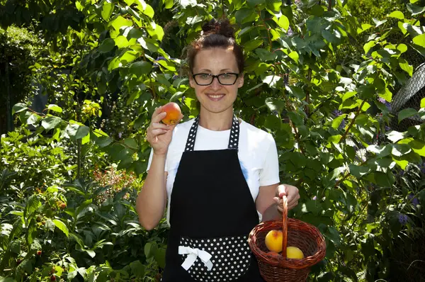 woman farmer with peach fruit harvest. organic food and eco farming. greengrocer woman outdoor. harvester or gardener. summer harvesting. autumn peach fruit harvest. peach fruit orchard.