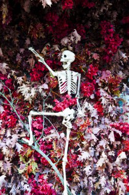 Ölüm günü. Kasım 'da ölmüş bir iskelet. Cadılar Bayramı Kasım 'da. Sonbaharda cadılar bayramı iskeleti dışarı çıkar. Cadılar bayramın kutlu olsun. İskeletin ürkütücü zombi kafatası.