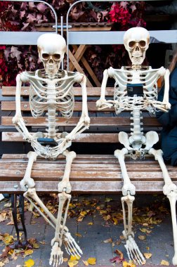 Kasım 'da ölmüş bir iskelet. Cadılar Bayramı Kasım 'da. Sonbahar yapraklarında cadılar bayramı iskeleti dışarıda. Cadılar bayramın kutlu olsun. İskeletin ürkütücü zombi kafatası. Ölüm günü. Dijital teknoloji devrede. akıllı foe.