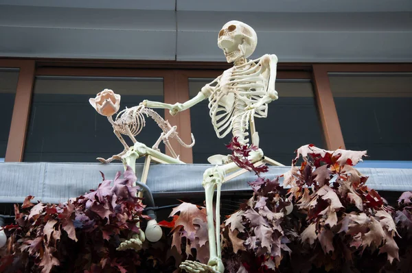 Boldog Halloweent Kísérteties Zombi Koponyájú Csontváz Macskával Halál Napja Halott — Stock Fotó