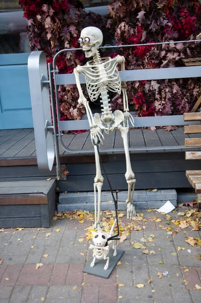 Šťastný Halloween Strašidelná Zombie Lebka Kostra Psím Mazlíčkem Den Smrti — Stock fotografie