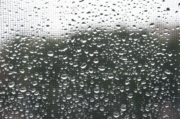 Regendruppel Achtergrond Regendruppel Herfst Weer Regenachtig Wateroppervlak Glas Natte Regendruppel — Stockfoto