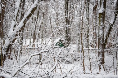 Beyaz kar. Kış ormanı Kış mevsiminde doğa. Karlı ormanın kış manzarası. Mevsimlik karlı ağaçlar. Kış Harikalar Diyarı 'ndaki doğal manzara. Ormandaki doğa manzarası.