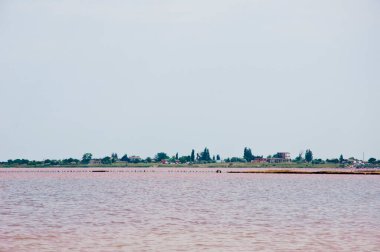 Pembe göl. Avustralya 'daki Pembe Su' da yaz tatili. Ukrayna pembe gölü. Hillier Gölü Avustralya 'nın doğal simgesi. Port Gregory Pembe Gölü. Laguna Salada 'nın tuzlu kıyısı.