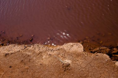 Pembe göl. Avustralya 'daki pembe gölde yaz tatili. Ukrayna pembe gölü. Hillier Gölü Avustralya 'nın doğal simgesi. Port Gregory Pembe Suyu. Laguna Salada 'nın tuzlu kıyısı. Koyu renk.