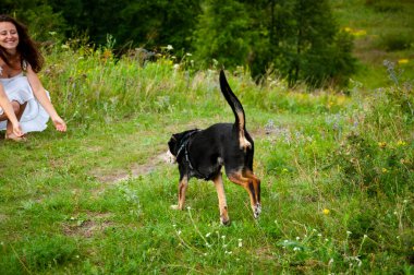 Dağ vadisindeki kadın ve köpek. Yaz doğasının manzarası. Mutlu kız vadide köpekle oynuyor. Köpekli Karpatyalı kadın. Yeşil çimlerin üzerinde kadın ve köpek.