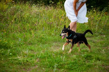 Köpekli Karpatyalı kadın. Yeşil çimenlikteki kadın ve köpek. Dağ vadisindeki kadın ve köpek. Yaz doğasının manzarası. Mutlu kız vadide köpekle oynuyor. Boşluğu kopyala.