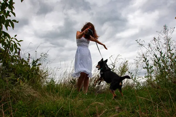 Özgürlük ve macera. Karpatların dağı. Rüzgarlı vadide köpekli bir kadın. Dağ vadisinde köpeği olan bir kadın. Yaz doğasının manzarası. Gezgin kız vadide köpeğini gezdiriyor. İyi eğlenceler..