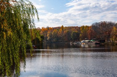Sonbahar ağacını ve göleti New York 'a park et. Manzaralı düşüş. Sonbaharda Central Park 'ta. Göletli sonbahar manzarası. Sonbahar doğa manzarası. Central Park 'ta sonbahar doğası. Mevsimlik sonbahar manzarası. Panorama.