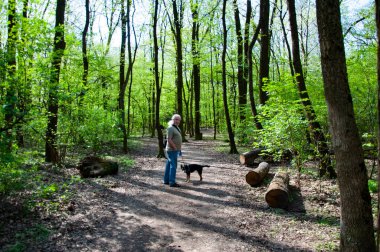 Yaşlı adam, baharda orman ya da parkın doğasında evcil köpeğini gezdirir. Emeklilik kavramı.