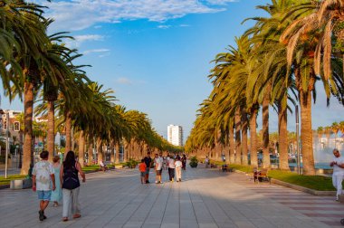 Salou, İspanya - 11 Temmuz 2024: Miami güney sahilinde yaz tatili. Kaliforniya palmiyesi. Miami 'de tropik bir sahil. Palmiye ağacıyla tropik bir açık hava sahnesi. Tropik yaz tatili. Palmiye ağacı.