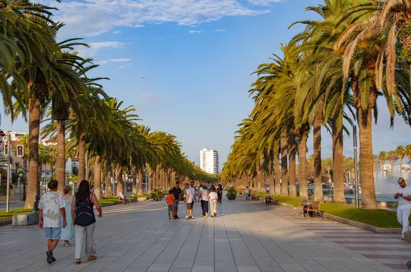 Salou, İspanya - 11 Temmuz 2024: Miami güney sahilinde yaz tatili. Kaliforniya palmiyesi. Miami 'de tropik bir sahil. Palmiye ağacıyla tropik bir açık hava sahnesi. Tropik yaz tatili. Palmiye ağacı.