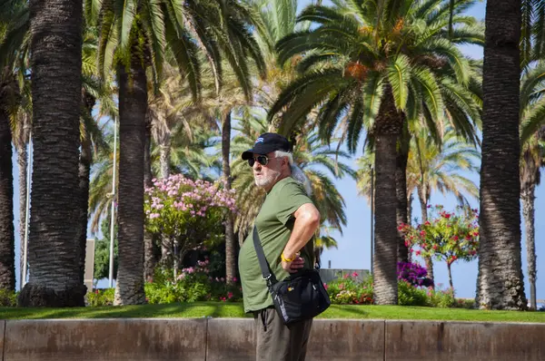 Seyahat güzergahı. Palmiye ağacı. İspanyol adam. İspanyol kıdemli turist. Kıdemli turist palmiye ağacı sokağında yürüyor. Yaz tatili turisti. Yaşlı adam turistik caddede yürüyor..