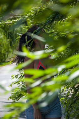 Ağaç dalları. Doğada açık hava yaşam tarzı. Yazın rüzgarda söğüt ağacı dalları arasında bir kadın. Yeşil rüzgarlı söğütlü kadın. Yaz kırsalında. Rüzgarda söğüt ağacı dalları.