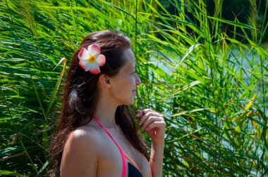 Saçında çiçek olan kadın portresi. Hawaii gezisi. Yaz tatili. Tropik doğa güzelliği. Doğa ve kadınlık. Yazın egzotik tatil. Amber çiçekli Hawaii kızı. Boşluğu kopyala.