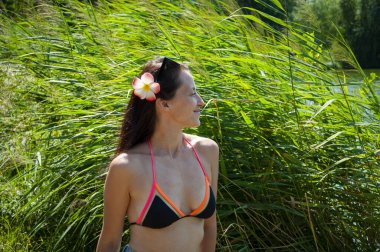Hawaii gezisi. Yaz tatili. Tropik doğa güzelliği. Doğa ve kadınlık. Yazın egzotik tatil. Amber çiçekli Hawaii kızı. Saçında çiçek olan kadın portresi. Hibiscus çiçeği.