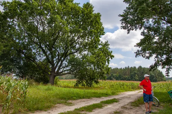 Kırsal kesimdeki köy yolunda duran çiftçi. Çevresi yemyeşil yaz manzarası, fotokopi alanı ile çevrili..
