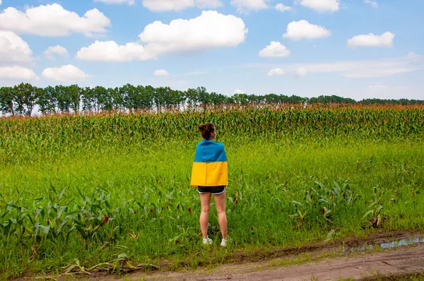 Ukrayna 'nın bağımsızlık günü. 24 Ağustos 'ta. Ukrayna bayrağı ve kadın çiftçi. Ukrayna bayrağı. Bağımsızlık Günü. Sahadaki kadın. Ekin tarlasında Ukrayna bayrağı taşıyan bir kız. Geleceğe güven.