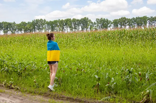 Ukrayna bayrağı anma günü veya 24 Ağustos. Tarlada Ukrayna bayrağıyla kaplanmış bir kız. Ukrayna bayrağı. Ulusal vatansever kız. Bağımsızlık Günü. Vatanseverlik sembolü. Vatanseverlik kopyalama alanı.