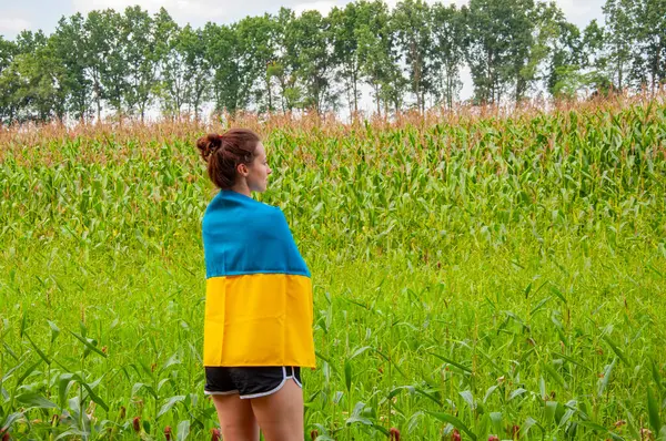 Tarlada Ukrayna bayrağıyla kaplanmış bir kız. Ukrayna bayrağı. Ulusal vatansever kız. Bağımsızlık Günü. Vatanseverlik sembolü. Vatanseverlik. Ukrayna bayrağı anma günü veya 24 Ağustos. Pankart.