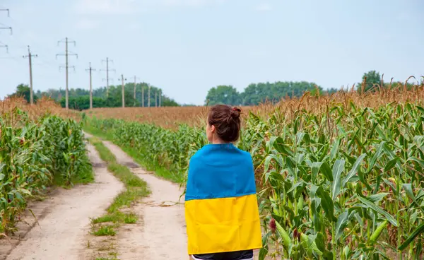 Geleceğin anavatanı. Ukrayna 'nın bağımsızlık günü. 24 Ağustos 'ta. Ukrayna bayrağı ve vatansever kadın. Ukrayna bayrağı. Bağımsızlık Günü. Kırsal kesimdeki kadın yolu. Ekin tarlasında Ukrayna bayrağı taşıyan kız.