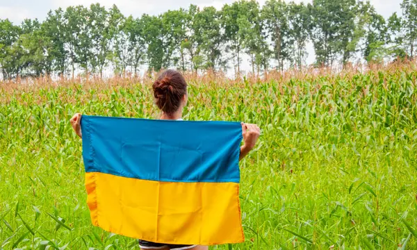 Vatanseverlik sembolü. Vatanseverlik. Ukrayna bayrağı anma günü veya 24 Ağustos. Tarlada Ukrayna bayrağıyla kaplanmış bir kız. Ukrayna bayrağı. Ulusal vatansever kız, ülke sembolü. Bağımsızlık Günü.