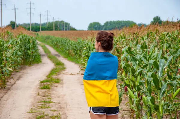 Ukrayna 'nın bağımsızlık günü. 24 Ağustos 'ta. Ukrayna bayrağı ve vatansever kadın. Ukrayna bayrağı. Bağımsızlık Günü. Kırsal kesimdeki kadın yolu. Ekin tarlasında Ukrayna bayrağı taşıyan bir kız. Gelecekteki kopyalama alanı.