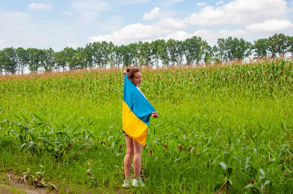 Bağımsızlık Günü. Vatanseverlik sembolü. Vatanseverlik. Ukrayna bayrağı anma günü veya 24 Ağustos. Tarlada Ukrayna bayrağıyla kaplanmış bir kız. Ukrayna bayrağı. Ulusal vatansever kız, sarı mavi.