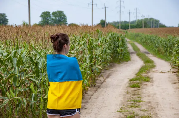 24 Ağustos 'ta. Ukrayna bayrağı ve vatansever kadın. Ukrayna bayrağı. Bağımsızlık Günü. Kırsal kesimdeki kadın yolu. Ekin tarlasında Ukrayna bayrağı taşıyan bir kız. Geleceğe. Ukrayna bayrağının bağımsızlık günü.