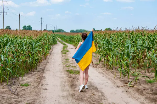 Ukrayna bayrağı. Bağımsızlık Günü. Kırsal kesimdeki kadın yolu. Ekin tarlasında Ukrayna bayrağı taşıyan bir kız. Geleceğe. Ukrayna 'nın bağımsızlık günü. 24 Ağustos 'ta. Ukrayna bayrağı vatansever kadın. Vatanseverlik duygusu.