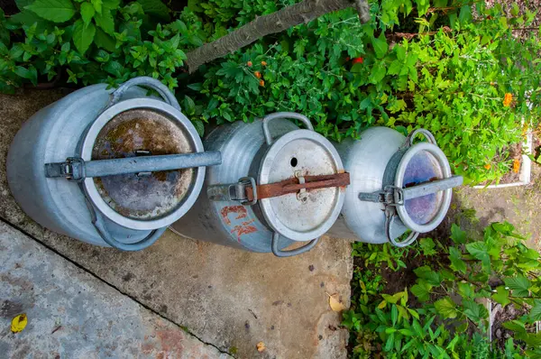 Antika süt kutusu. Süt çiftliğindeki eski alüminyum süt kutuları. Süt kabı kırsal kesimde. Taze teslimat. Alüminyum büyük su bidonu. Geleneksel mandıracılık. Kırsal yaşam tarzı. Yerel süt kaynağı.