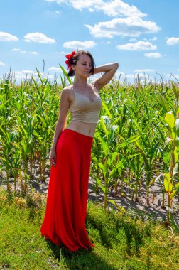 Canlı kırmızı etekli İspanyol kız ve saçlı çiçek. Kır manzarası. Folklorik kız. Etnik ve halk. Mısır tarlasında mavi gökyüzünün altında genç bir kadın. Flamenko dansçısı. Yaz modası. Bohem kız..