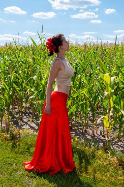 Yaz modası. Canlı kırmızı etekli İspanyol kız ve saçlı çiçek. Kır manzarası. Folklorik kız. Etnik ve halk. Mısır tarlasında mavi gökyüzünün altında genç bir kadın. Flamenko dansçısı. Boho modası.