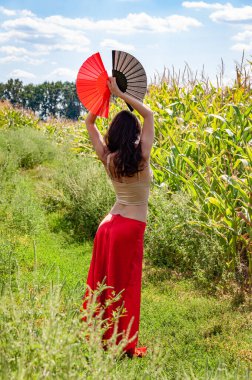 Küresel turizm. Kadınsal özgürlük. Folklorik kız seyahati. Flamenko dansçısı. Tarlada dans eden kırmızı etekli bir kadın. Halk kültürü. Geleneksel dans flamenkosu. Sanatsal yaşam tarzı.
