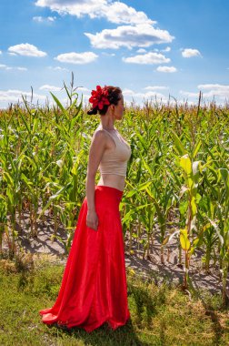 Folklorik kız. Etnik ve halk. Mısır tarlasında mavi gökyüzünün altında genç bir kadın. Flamenko dansçısı. Yaz modası. Canlı kırmızı etekli İspanyol kız ve saçlı çiçek. Kır manzarası. Meditasyon.