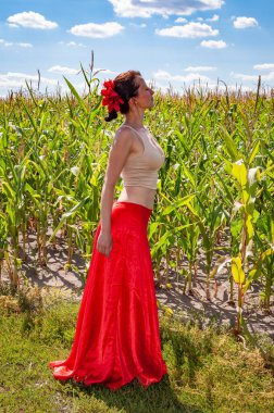 Etnik ve halk. Mısır tarlasında mavi gökyüzünün altında genç bir kadın. Flamenko dansçısı. Yaz modası. Canlı kırmızı etekli İspanyol kız ve saçlı çiçek. Kır manzarası. Folklorik kız. İlham.