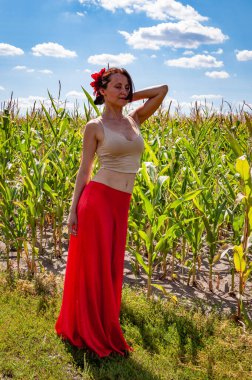 Flamenko dansçısı. Yaz modası. Canlı kırmızı etekli İspanyol kız ve saçlı çiçek. Kır manzarası. Folklorik kız. Etnik ve halk. Mısır tarlasında mavi gökyüzünün altında genç bir kadın. Organik yaşam.