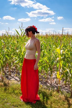 Yaz modası. Canlı kırmızı etekli İspanyol kız ve saçlı çiçek. Kır manzarası. Folklorik kız. Etnik ve halk. Mısır tarlasında mavi gökyüzünün altında genç bir kadın. Flamenko dansçısı. İspanyol kız..