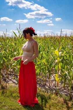 Canlı kırmızı etekli İspanyol kız ve saçlı çiçek. Kır manzarası. Folklorik kız. Etnik ve halk. Mısır tarlasında mavi gökyüzünün altında genç bir kadın. Flamenko dansçısı. Çiftlik arazisinde yaz modası.