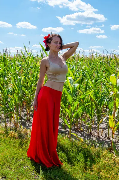 Canlı kırmızı etekli İspanyol kız ve saçlı çiçek. Kır manzarası. Folklorik kız. Etnik ve halk. Mısır tarlasında mavi gökyüzünün altında genç bir kadın. Flamenko dansçısı. Yaz modası. Bohem kız..