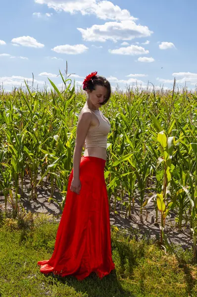 Mısır tarlasında mavi gökyüzünün altında genç bir kadın. Flamenko dansçısı. Yaz modası. Canlı kırmızı etekli İspanyol kız ve saçlı çiçek. Kır manzarası. Folklorik kız. Etnik ve halk.