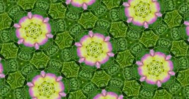 Güzel doku kaleydoskopik tasarım, soyut kaleydoskop arkaplan, eşsiz kaleydoskop animasyonu.