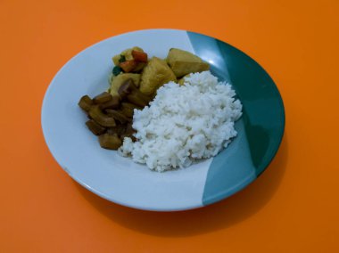 Pirinç ve yanında dilimlenmiş soya peyniri ve leziz baharatlı sığır eti.