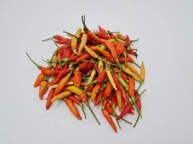 Beyaz bir kapta ilave baharat için küçük kırmızı biber koleksiyonu.