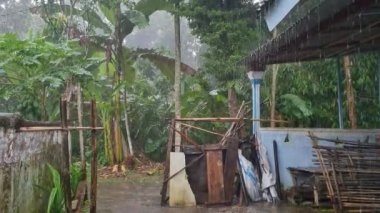 Evin ve ağaçların bahçesinde çok şiddetli yağmur mevsimi var.