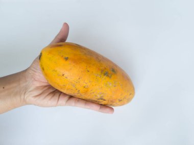 Kabuğu soyulmamış olgun papaya sarı-yeşil ten rengine sahiptir.